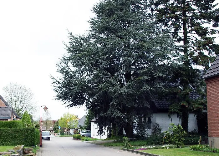 Heeserberg קסנטן